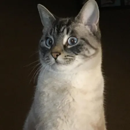 Russchaert בית אירוח